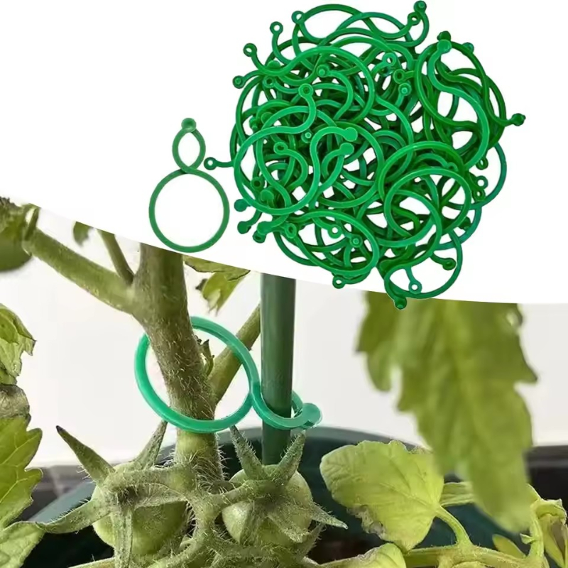 Vine Climbing Plastic - คลิปหนีบต้นไม้ 50-400 ชิ้น ทนต่อสภาพอากาศ คลิปพลาสติกสำหรับสวน ใช้สำหรับพืชมะเขือเทศ