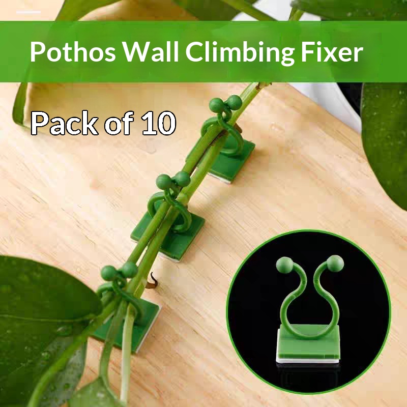 Vine Climbing Plastic - คลิปยึดต้นไม้แบบมีกาวในตัวสำหรับติดผนัง ตะขอจัดระเบียบเถาวัลย์และหวายแบบไม่ต้องเจาะ สำหรับตกแต่งบ้านและสวนในร่ม