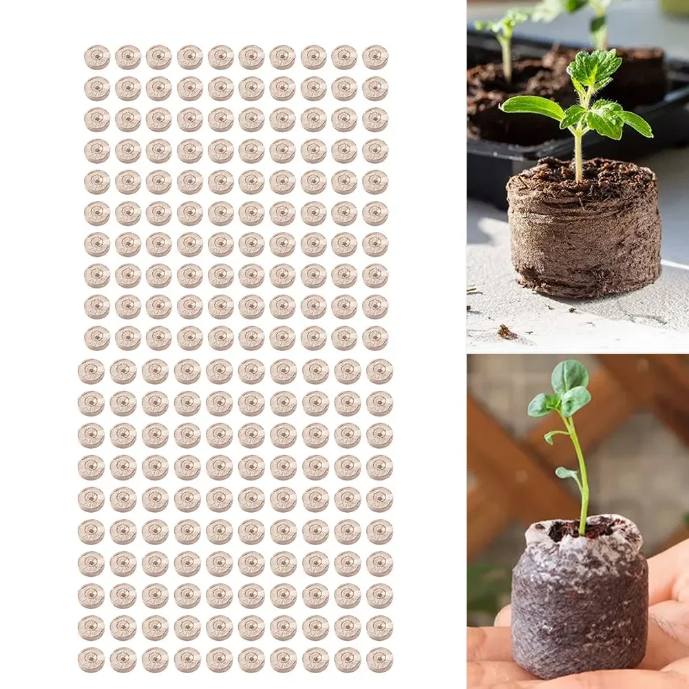 Substrate Coconut Fiber - เม็ดมะพร้าวอัดเม็ด 100 ชิ้น สำหรับการเริ่มต้นการเพาะปลูกและการขยายพันธุ์พืช ด้วยวัสดุปลูกจากใยมะพร้าวธรรมชาติ