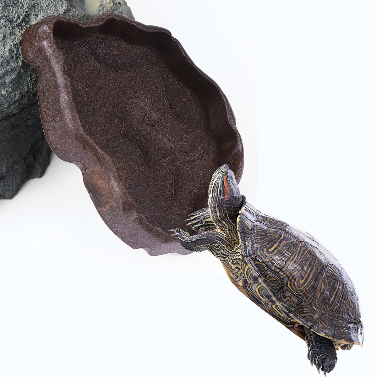 ชามอาหารเรซินสำหรับสัตว์เลื้อย - Water Dish Reptile บทวิจารณ์และราคา