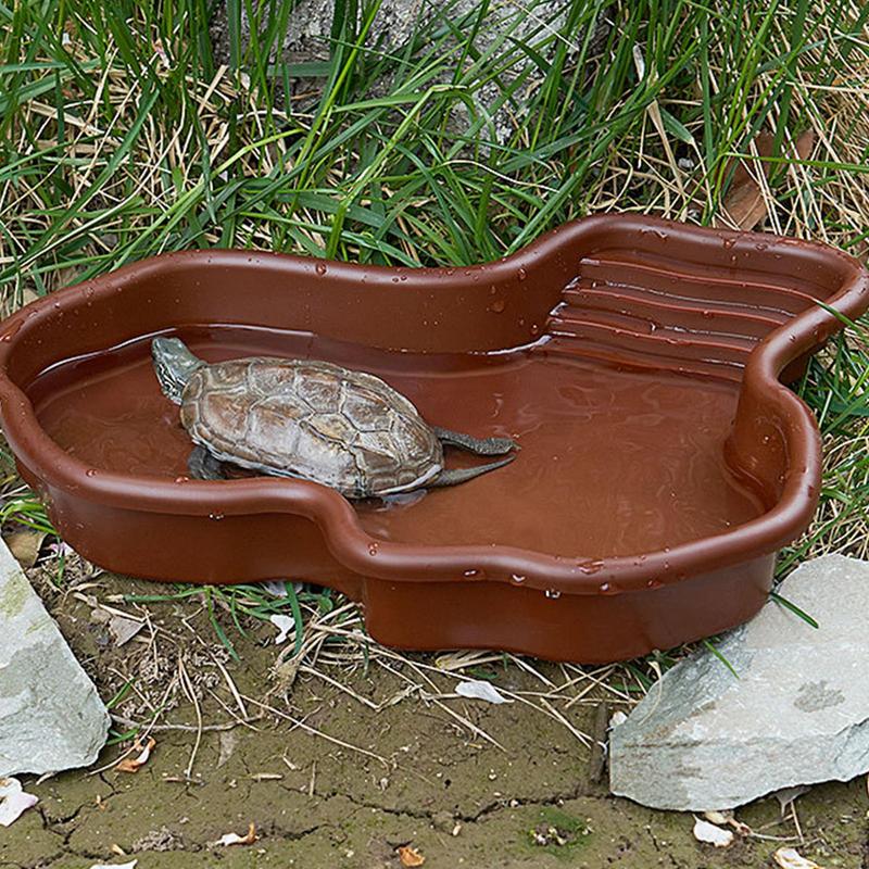 เต่าให้อาหารจานสัตว์เลื้อยคลาน - Water Dish Reptile บทวิจารณ์และราคา