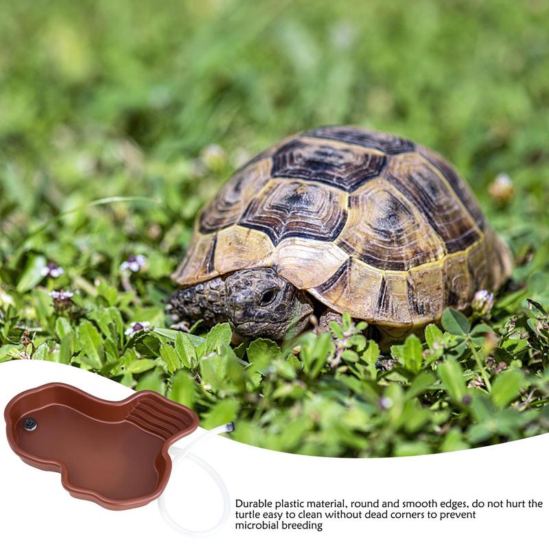 เต่าให้อาหารจานสัตว์เลื้อยคลาน - Water Dish Reptile บทวิจารณ์และราคา