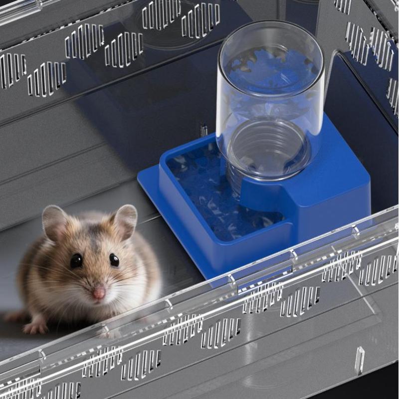(BF06)ขวดน้ำสัตว์เลื้อยคลาน เค - Water Dish Reptile บทวิจารณ์และราคา