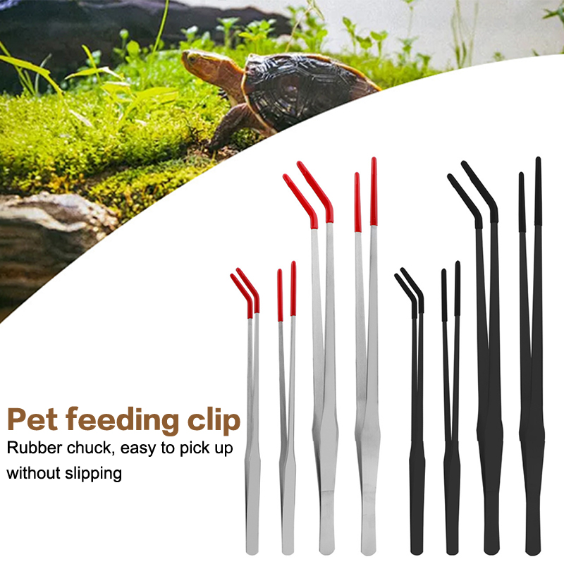คีมป้อนอาหารสัตว์เลื้อยคลานสแต - Feeding Tong Stainless บทวิจารณ์และราคา