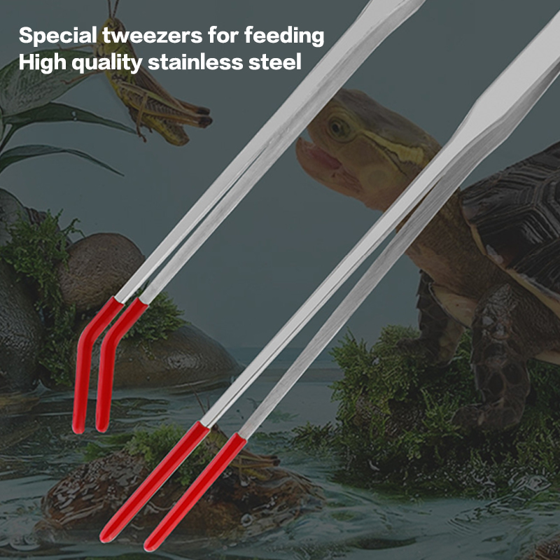 คีมป้อนอาหารสัตว์เลื้อยคลานสแต - Feeding Tong Stainless บทวิจารณ์และราคา