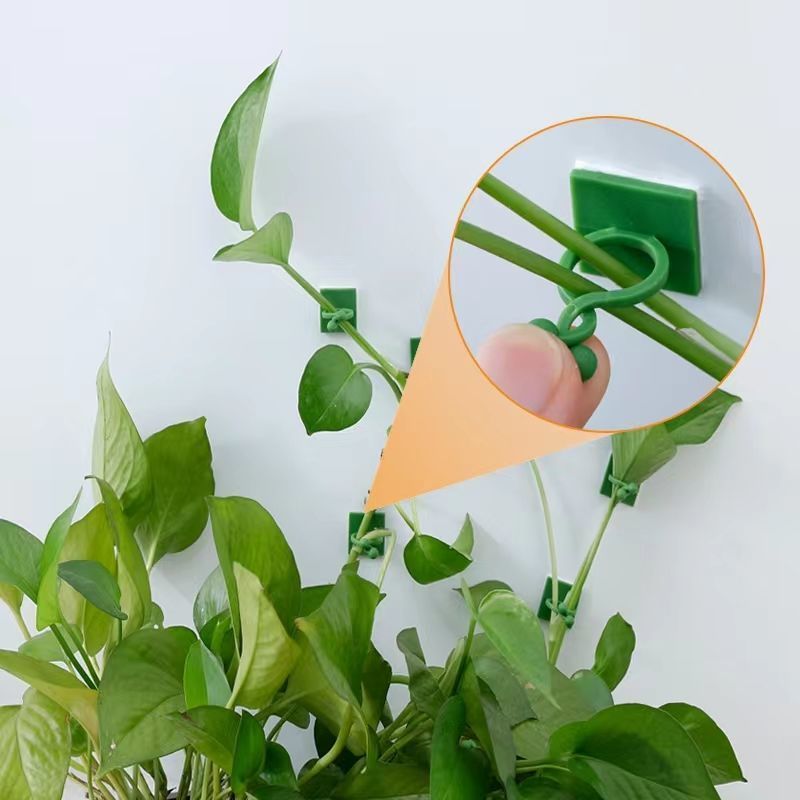 คลิปยึดต้นไม้แบบมีกาวในตัวสำหร - Vine Climbing Plastic บทวิจารณ์และราคา
