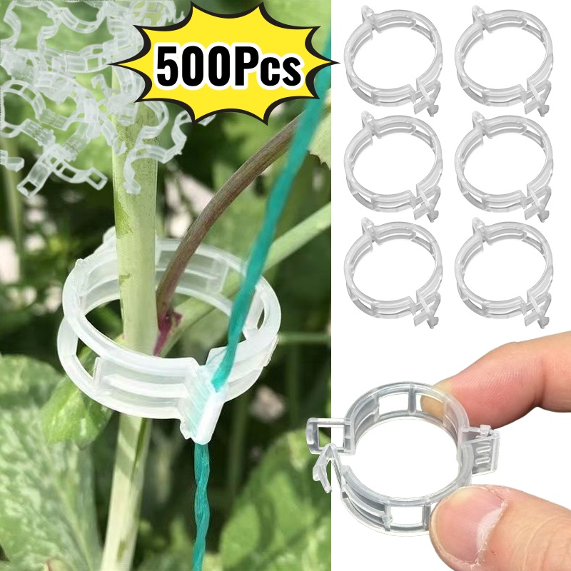 คลิปพลาสติกสำหรับยึดต้นไม้ 500 - Vine Climbing Plastic บทวิจารณ์และราคา