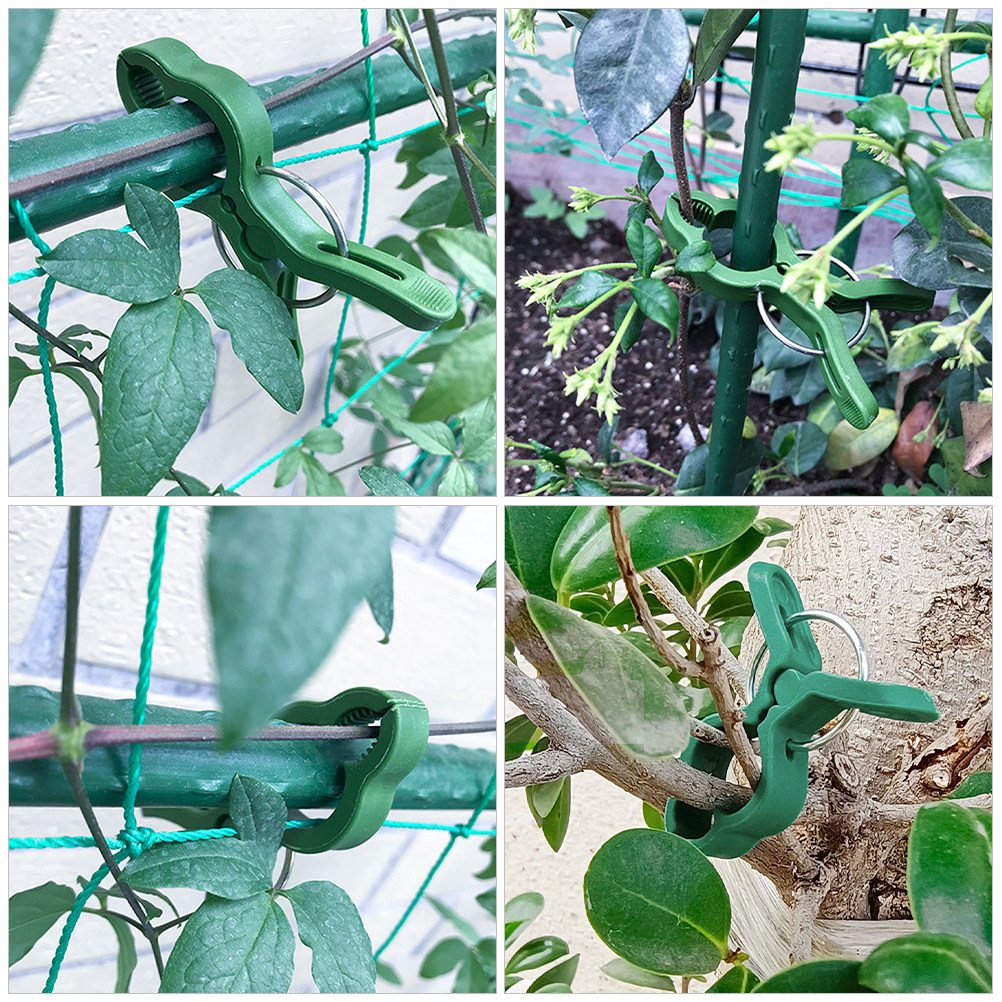 คลิปหนีบต้นไม้ในสวน 60 ชิ้น คล - Vine Climbing Plastic บทวิจารณ์และราคา