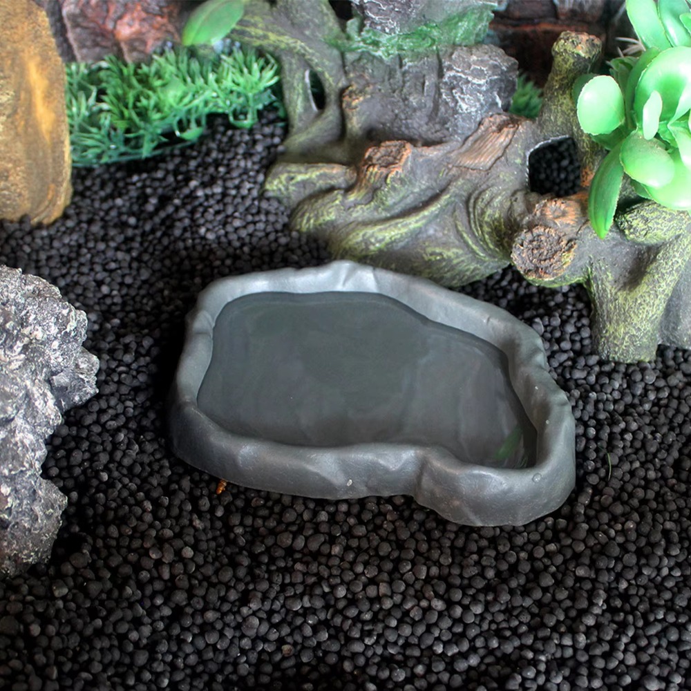 ชามใส่อาหารสัตว์เลื้อยคลานทำจา - Water Dish Reptile บทวิจารณ์และราคา