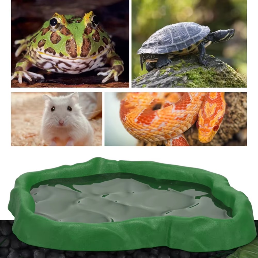 ชามใส่อาหารสัตว์เลื้อยคลานทำจา - Water Dish Reptile บทวิจารณ์และราคา