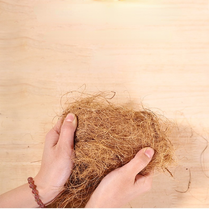 100g Finch มะพร้าวเส้นใยหลวมผ้ - Substrate Coconut Fiber บทวิจารณ์และราคา