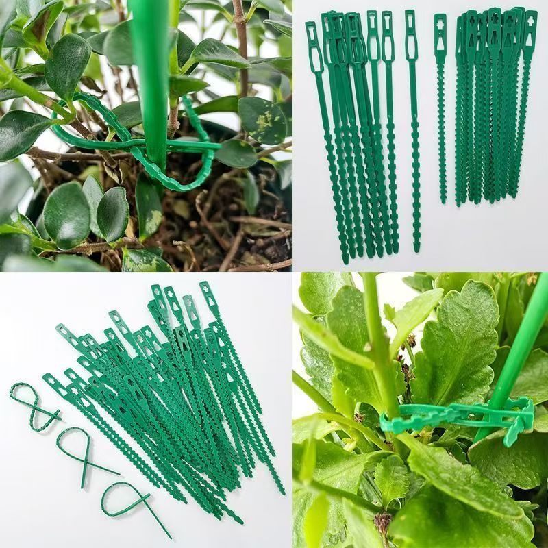สายรัดต้นไม้สีเขียวแบบใช้ซ้ำได - Vine Climbing Plastic บทวิจารณ์และราคา