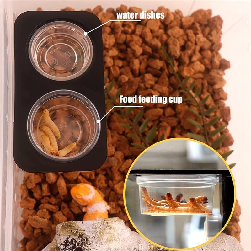 ถ้วยใส่อาหารและน้ำสำหรับตุ๊กแก - Water Dish Reptile บทวิจารณ์และราคา