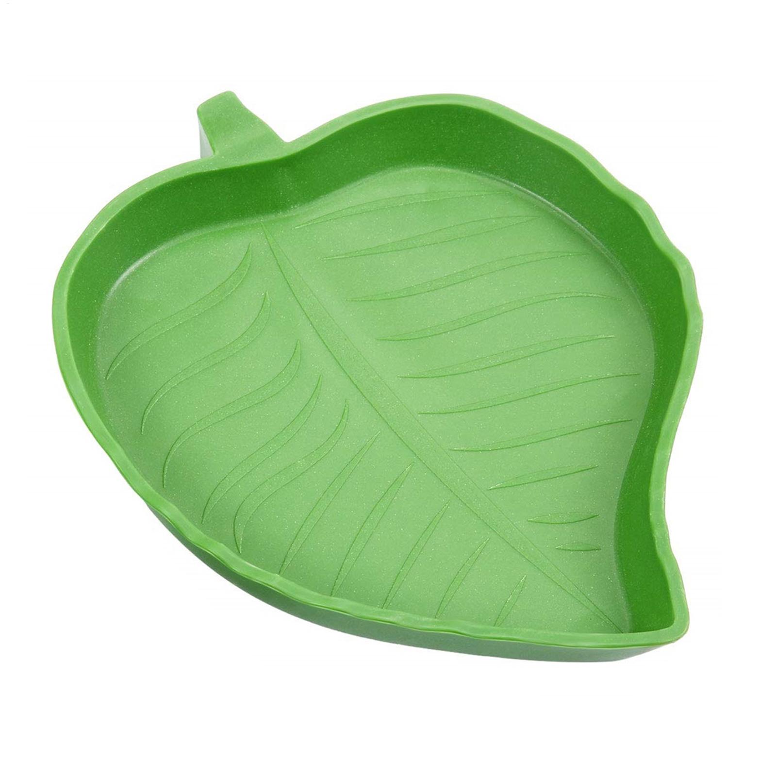 ชามใส่น้ำสำหรับสัตว์เลื้อยคลาน - Water Dish Reptile บทวิจารณ์และราคา